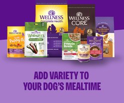 Wellness Protein Bowls Adult Wholesome Grains Duck, Sweet Potato & Cranberries Fresh Alternative Dog Food, 6.2-oz pouch, case of 6 slide 2 of 9