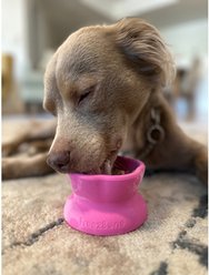 Freezbone Freezflower Frozen Cup Tough Chewer Treat Dispenser Dog Toy, Large, Pink slide 2 of 4