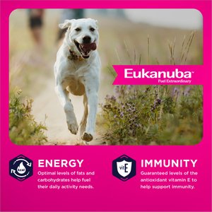 Eukanuba Adult Large Breed Dry Dog Food, 35-lb bag