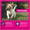 Show in main carousel: Eukanuba Adult Small Bites Dry Dog Food, 30-lb bag slide 3 of 11