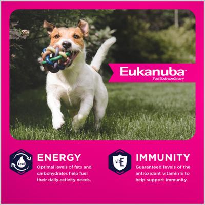Show full view: Eukanuba Adult Small Bites Dry Dog Food, 30-lb bag slide 3 of 11