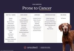 Oncotect Premium Cancer Screening Test for Dogs, 4-oz box slide 2 of 8