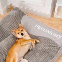 FunnyFuzzy Scratch-Resistant Orthopedic Pillow Dog Cushion Bed, Grey, XX-Large slide 2 of 8
