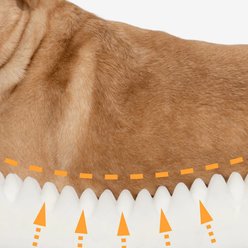 FunnyFuzzy Premium Soft & Warm Fabric Donut Machine Washable Bolster Dog Bed, Fuzzy Brown, Large slide 2 of 9