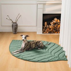 FunnyFuzzy Leaf Shape Machine Washable Dog Blanket, Elm Green, 51.2 x 78.7-in