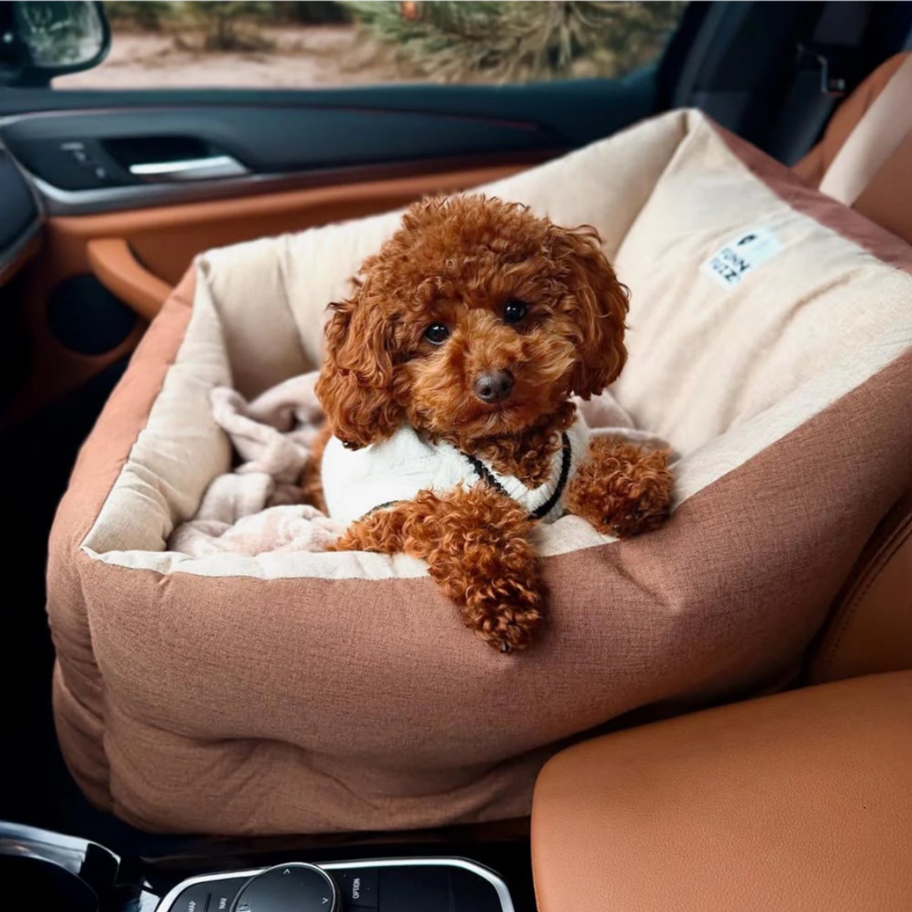 FunnyFuzzy Travel Protection Booster Elevated Thickened Machine Washable Bolster Dog Car Seat Bed, Single Seat, Brown