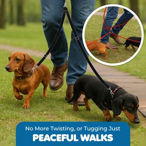 SunGrow Adjustable Dual Leash Coupler 360 Swivel Splitter Dog Training Leash, Black, 16-24-inch