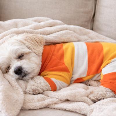 Show full view: Pet Passion Snooze The Ultimate Pajama Machine Washable Stripes Dog Pajamas, Corny Candy Stripe, Small slide 4 of 4
