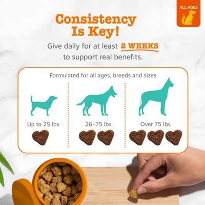 Show full view: Zesty Paws Hemp Calming Bites Peanut Butter Flavored Soft Chews Composure & Relaxation Supplement for Dogs, 90 count slide 5 of 9