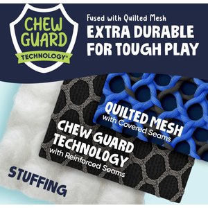 GoDog Tough Guard Shelby Starfish Chew Guard Technology Squeaky Dog Toy