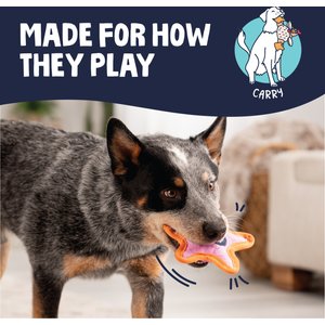 GoDog Tough Guard Shelby Starfish Chew Guard Technology Squeaky Dog Toy