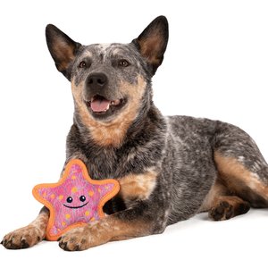 GoDog Tough Guard Shelby Starfish Chew Guard Technology Squeaky Dog Toy