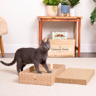 SMARTYKAT Instincts Scratcher's Choice+ Bed Box & Reversible Corrugated ...