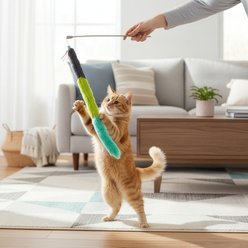 SmartyKat Crazy Catch 3 Part Breakaway Plush Catnip Wand Cat Toy slide 2 of 8