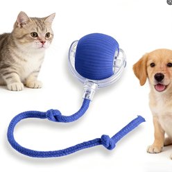 NonoPets Smart Interactive Self-Rolling Glowing & Light-Up Chasers Ball Cat Toy, Blue
