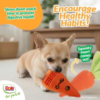 Show full view: Dole Products 2-in-1 CarrotPop Rubber Squeaky Mini Plush Dog Treat Dispenser Toy, 7-in slide 7 of 8