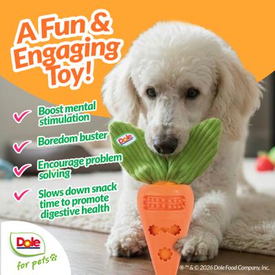 Show full view: Dole Products 2-in-1 CarrotPop Rubber Squeaky Mini Plush Dog Treat Dispenser Toy, 7-in slide 2 of 8
