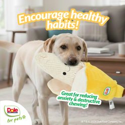 Dole Giant Banan-O-Buddy Squeaky Plush Dog Toy, 29-in slide 2 of 7