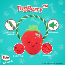 Dole Tuff BerrySqueak Plush Dog Toy, 9.5-in slide 2 of 7