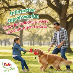 Dole App N' Durable & Fun Squeaky Rope Tug Dog Toy, 20-in slide 2 of 7