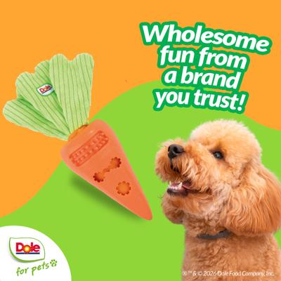 Show full view: Dole Products 2-in-1 CarrotPop Rubber Squeaky Mini Plush Dog Treat Dispenser Toy, 7-in slide 4 of 8