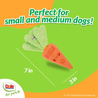 Show full view: Dole Products 2-in-1 CarrotPop Rubber Squeaky Mini Plush Dog Treat Dispenser Toy, 7-in slide 3 of 8