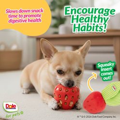 Dole 2-in-1 BerryPop Rubber Squeaky Mini Plush Dog Treat Dispenser Toy, 7-in slide 2 of 7
