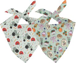 Dog Bandana Co. Farmers Market Tie On Reversible Dog Bandana, Green, Small
