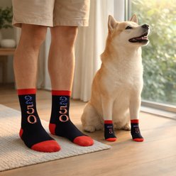Furry Twinz Americana 250 Red Matching Pet & Owner Fun Socks slide 2 of 3