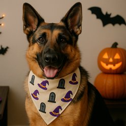 Furry Twinz Grave Stone Halloween Dog & Cat Bandana slide 2 of 2