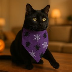 Furry Twinz Spider Web Halloween Dog & Cat Bandana slide 2 of 2