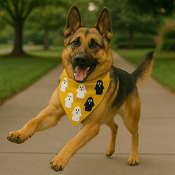 Furry Twinz Ghosts Halloween Dog & Cat Bandana slide 2 of 2
