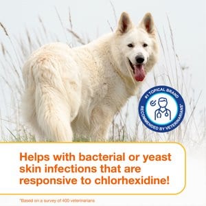 Douxo S3 PYO Antiseptic Antifungal Chlorhexidine Dog & Cat Shampoo, 6.7-oz bottle