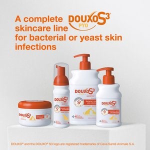 Douxo S3 PYO Antiseptic Antifungal Chlorhexidine Dog & Cat Shampoo, 6.7-oz bottle