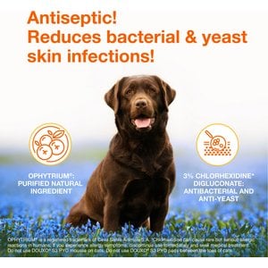 Douxo S3 PYO Antiseptic Antifungal Chlorhexidine Dog & Cat Shampoo, 6.7-oz bottle