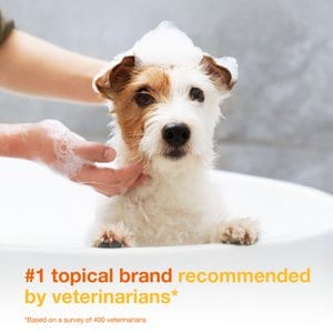 Douxo S3 PYO Antiseptic Antifungal Chlorhexidine Dog & Cat Shampoo, 6.7-oz bottle