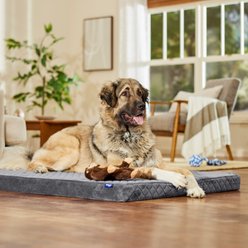 Frisco Quilted Orthopedic Pillow Lounger Cat & Dog Bed with Removable Cover, Gray, XXX-Large
