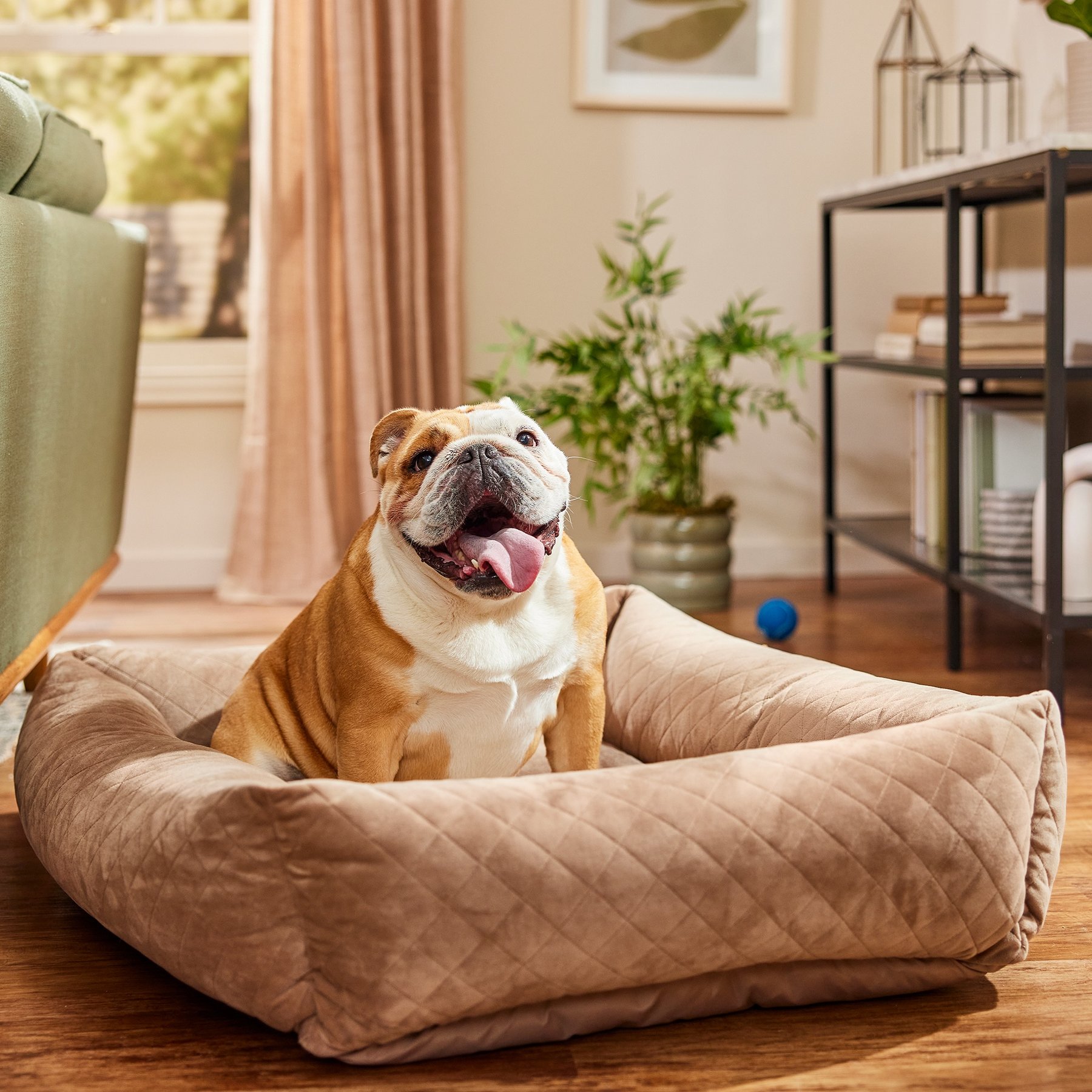 Frisco Velvet Quilted Bolster Cat & Dog Bed, Beige, Large