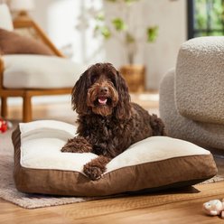 Frisco Faux Suede Pillow Cat & Dog Bed with Removable Cover, Brown, Large