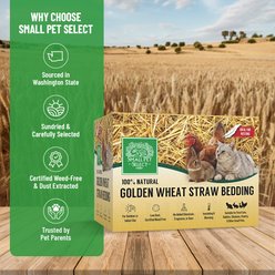 Small Pet Select Golden Wheat Straw Natural Plant Material Eco-Friendly Litter with Odor Control for Rabbit, Hamster Bedding, 8-lb box slide 2 of 6