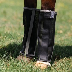 Professional's Choice Deluxe Fitted Horse Fly Boots, 4 count, Black, Medium