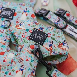 Sassy Woof Disney's Snow White Dog Harness & Leash, X-Small: 14 to 19-in chest slide 2 of 8