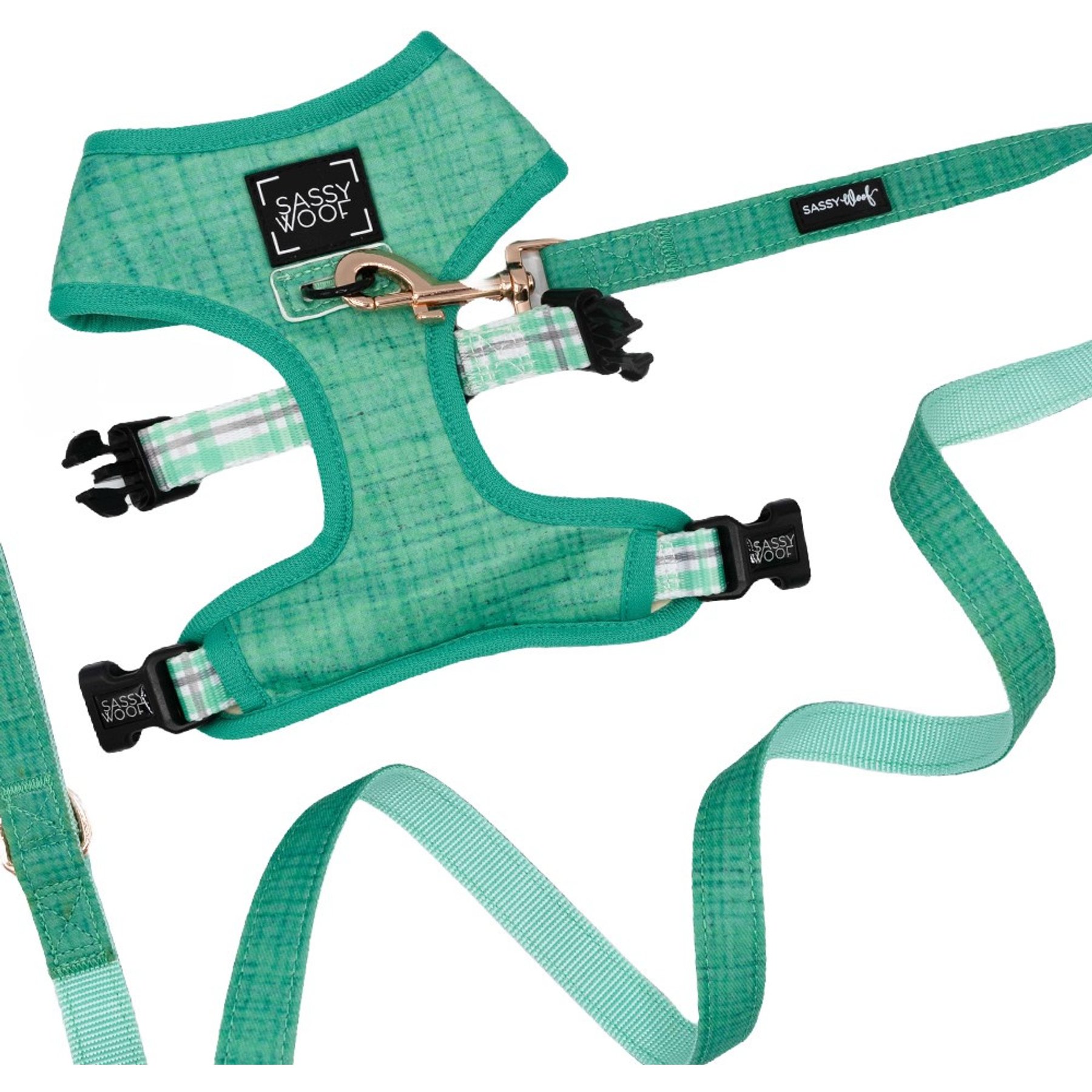 Sassy Woof Wag Your Teal Dog Harness & Leash, XX-Large: 25 to 37-in chest