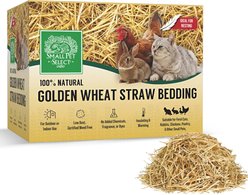 Small Pet Select Golden Wheat Straw Natural Plant Material Eco-Friendly Litter with Odor Control for Rabbit, Hamster Bedding, 8-lb box