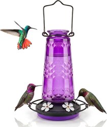 Kingsyard Glass Hummingbird Feeder with 5 Feeding Ports & Ant Moat, Purple, 19-oz