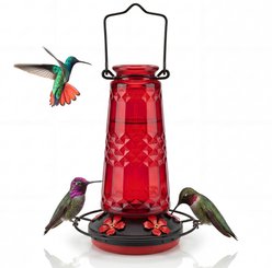 Kingsyard Glass Hummingbird Feeder with 5 Feeding Ports & Ant Moat, Red, 19-oz