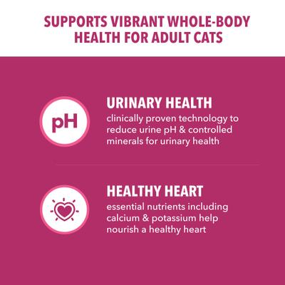 Show full view: Iams ProActive Health Urinary Tract Health with Chicken Adult Dry Cat Food, 22-lb bag slide 4 of 10