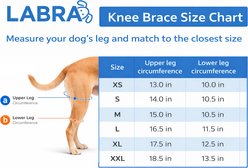 Labra ACL MCL Patella Injuries for Rear Right Knee Brace for Dogs, X-Large slide 2 of 6