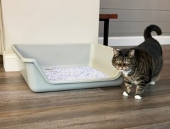 Shirley K's Senior Cat Litter Box, 30-in, Gray