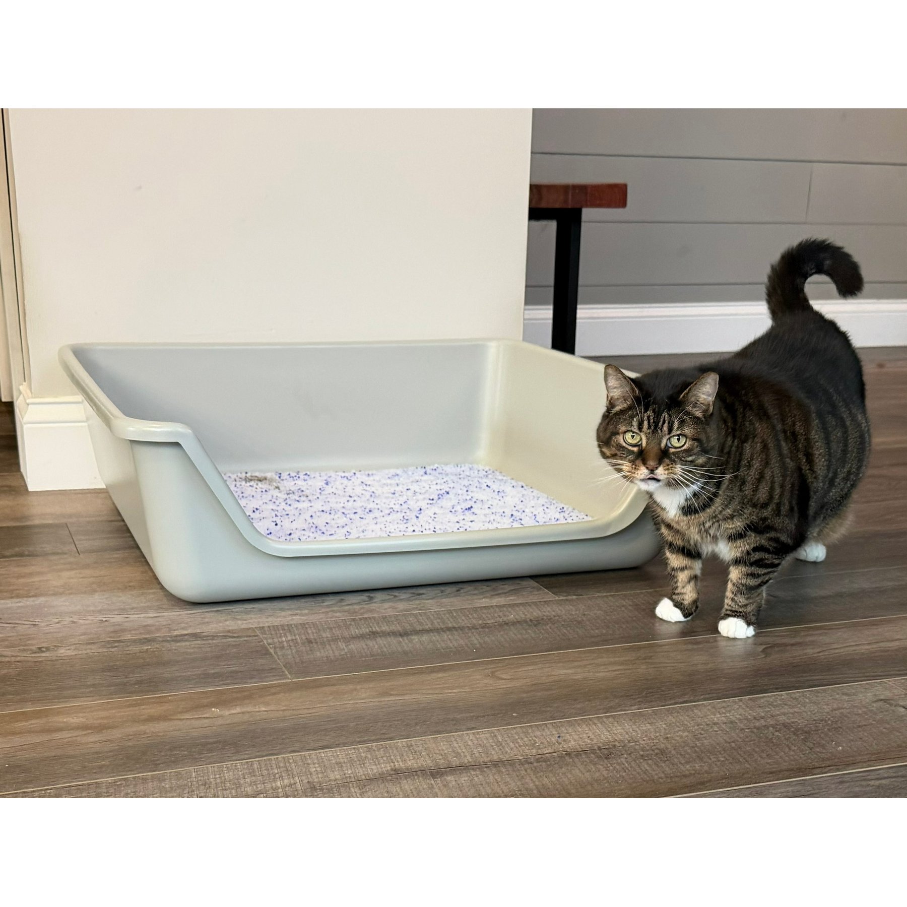 Shirley K's Senior Cat Litter Box, 30-in, Gray